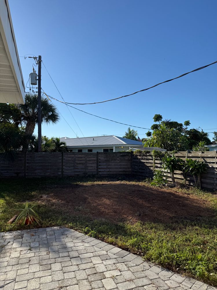 Tree Removal for Damian’s Tree Care in Sarasota, FL