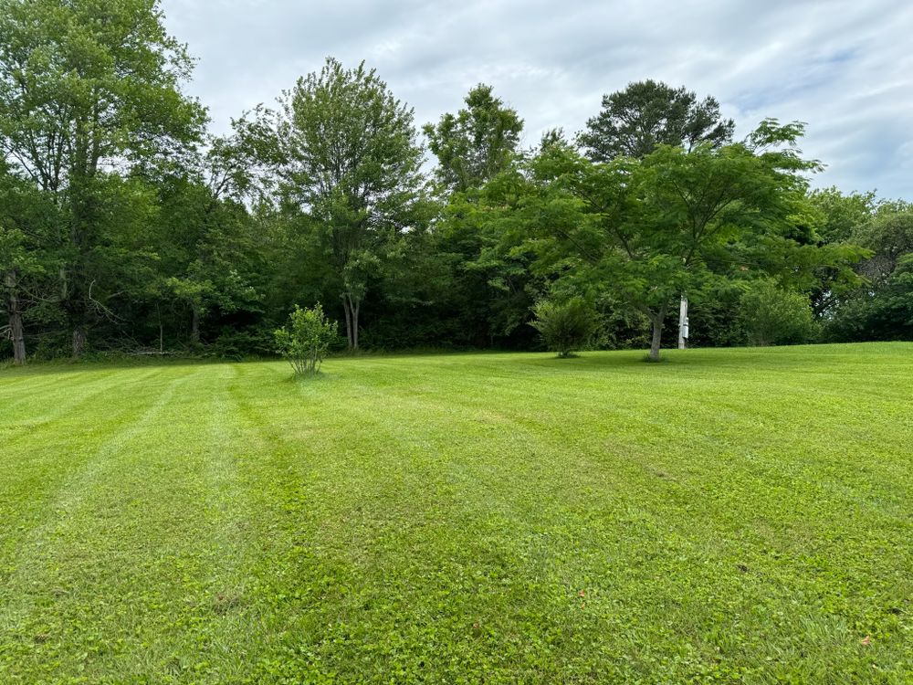 All Photos for Hale’s Hydroseeding in London, KY