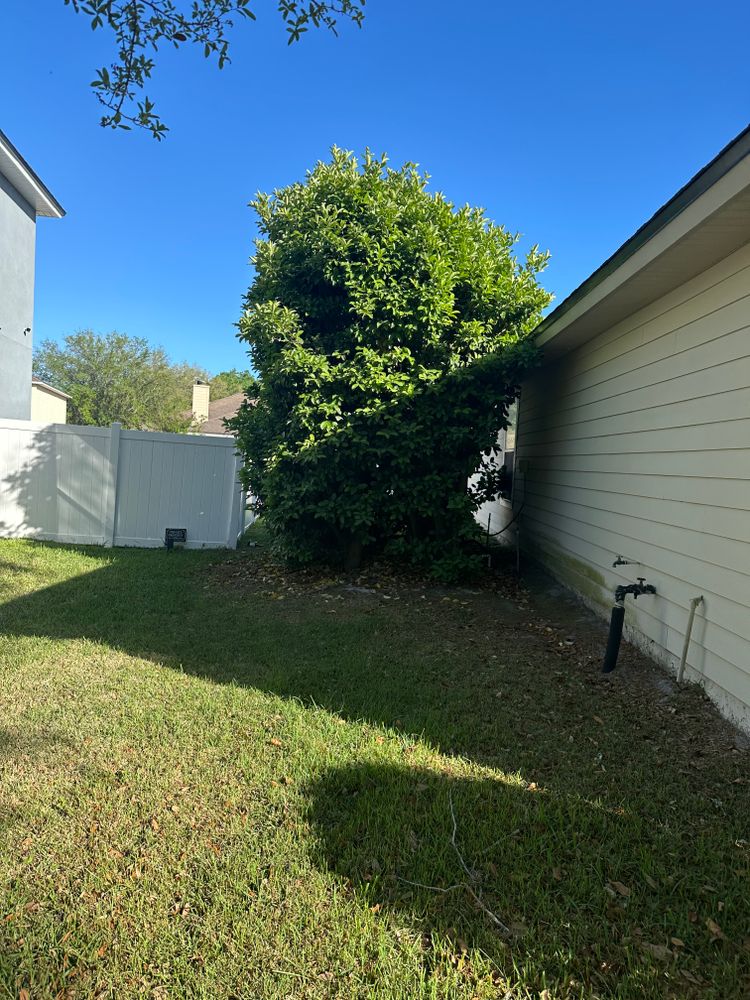 All Photos for All of the Above Landscaping in Orange Park, FL