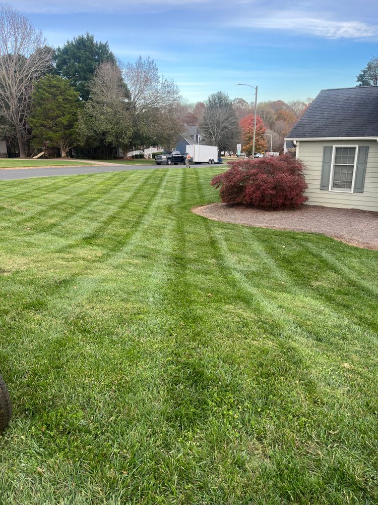 Lawn Care for Dream Cuts Landscaping and Lawn Care LLC in Gastonia, NC