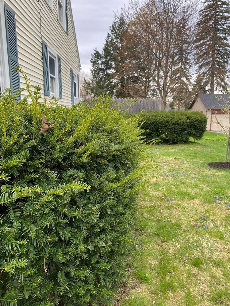 All Photos for Bishop’s Property Maintenance in Franklin, VT