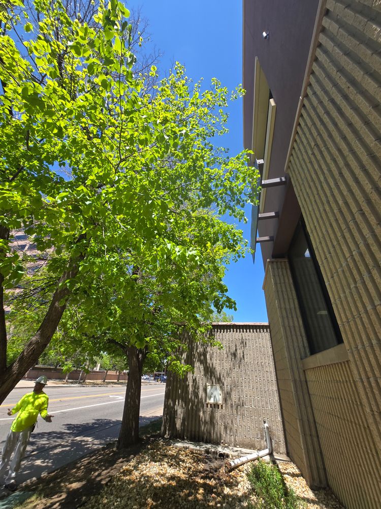 All Photos for Forge Precision Facility Services in Glendale, CO