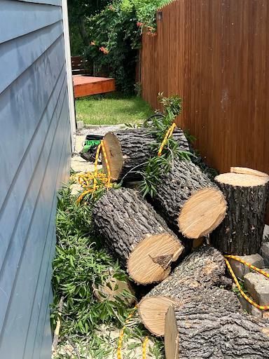 All Photos for Imber’s Tree Service LLC in Arlington, TX