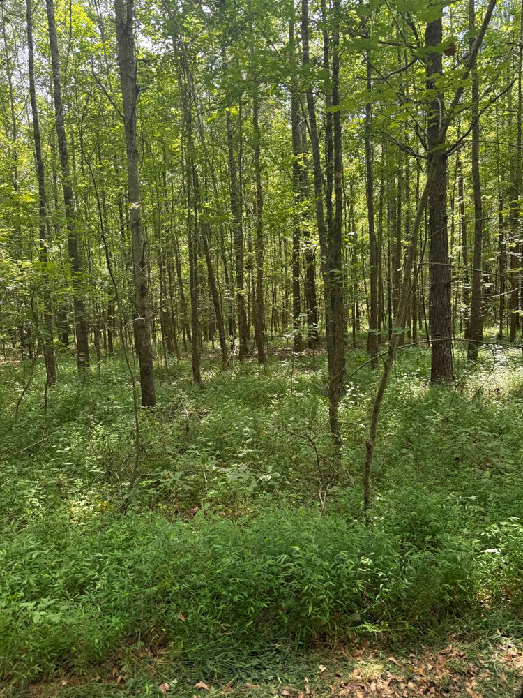 All Photos for Simmons land works in Sardis,, TN