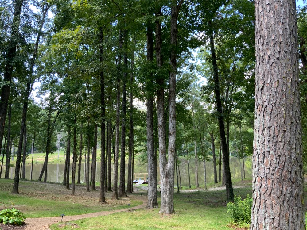 All Photos for Broadway & McMullen Construction in Hattiesburg, MS