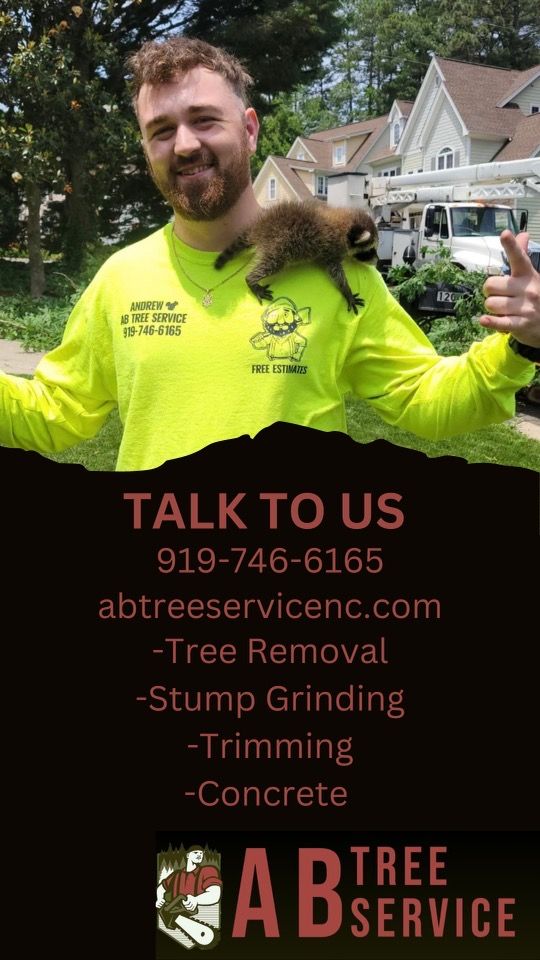 All Photos for AB Tree Service in Raleigh, NC