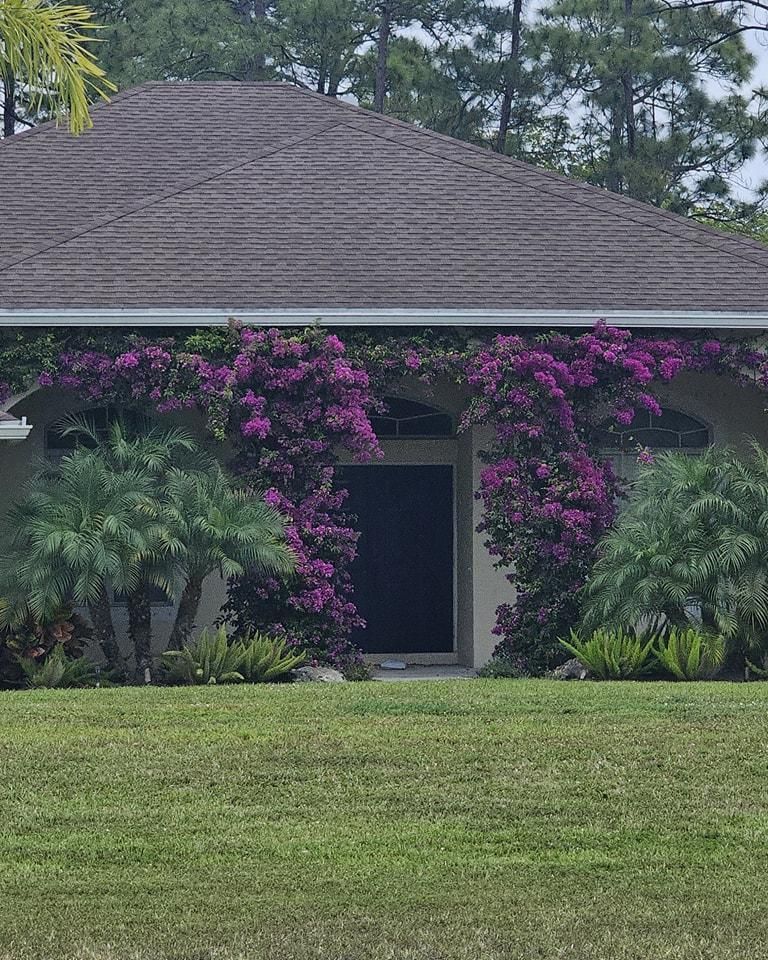 All Photos for Natural View Landscape, Inc.  in Loxahatchee, FL