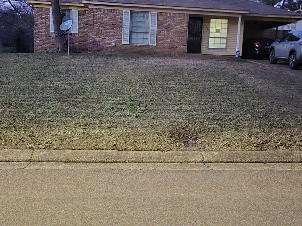 All Photos for The DUFF LAWN Service in Houston, Texas