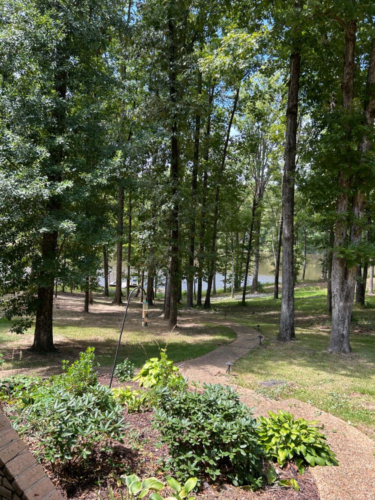 All Photos for Broadway & McMullen Construction in Hattiesburg, MS