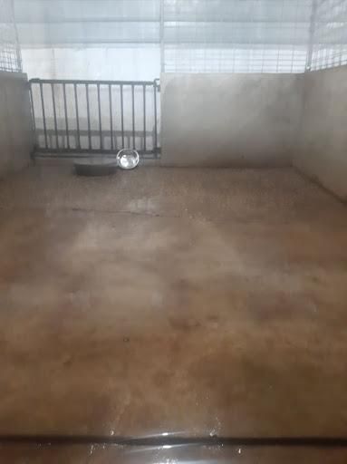 All Photos for Smith Power Washing in Grove City, MN