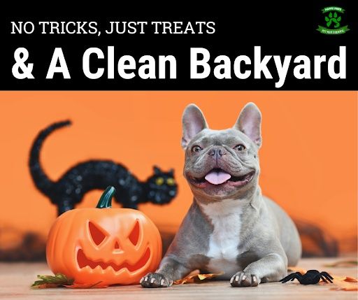 All Photos for Happy Paws Pet Waste Removal in Van Alstyne, TX
