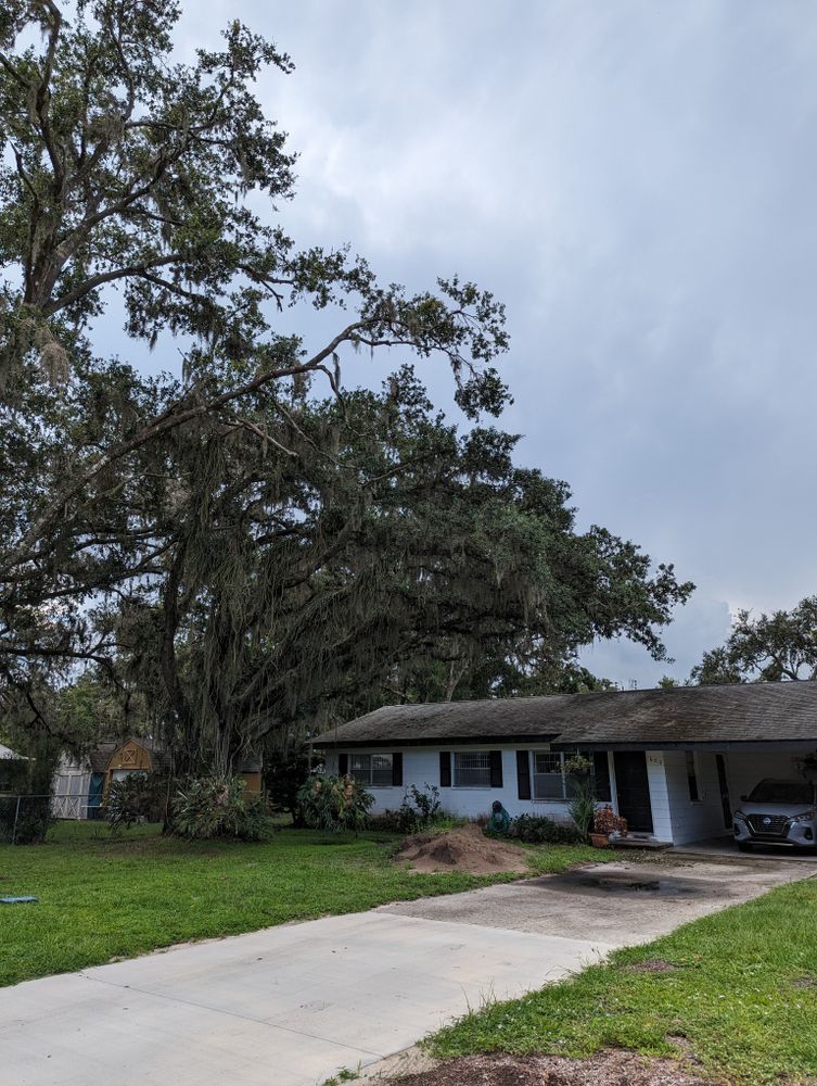 All Photos for Regal Tree Service and Stump Grinding in Wauchula, FL