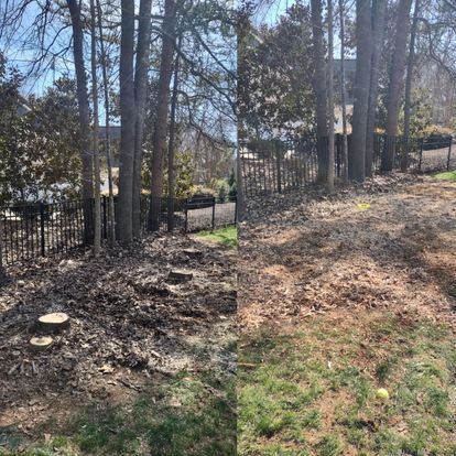 All Photos for Morgan's Stump Removal in Rock HIll, SC