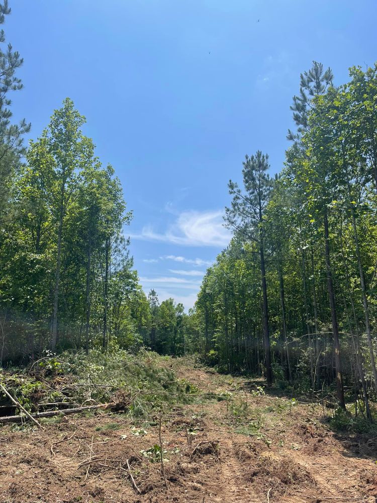 Our Land Clearing & Demolition service efficiently prepares your property for new projects, ensuring safe removal of debris and obstacles to create a clean foundation for your construction needs. for Mountain Land Services LLC. in Oneida, TN