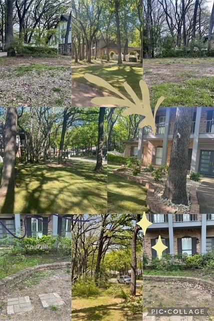 All Photos for Valadez Landscaping LLC in Fort Worth, TX