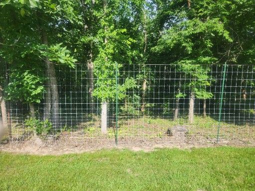 All Photos for Lawn Ranger Yard And Tree Service LLC in Ottumwa, IA