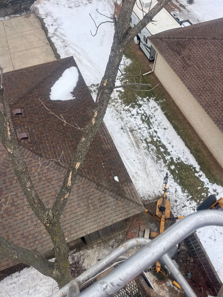 All Photos for K and Z Tree Care in Isanti County, MN