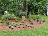 All Photos for Exterior Design Landscape Services in Americus, GA