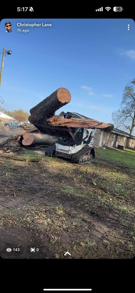 All Photos for Morace Tree Service in Natchez,,  MS