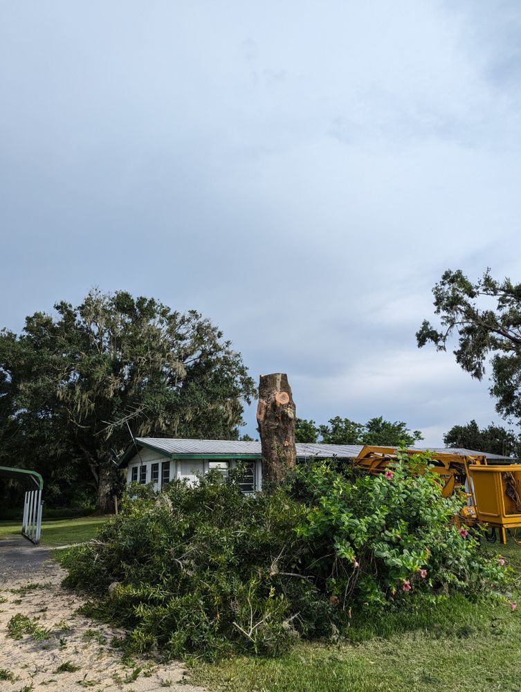 All Photos for Regal Tree Service and Stump Grinding in Wauchula, FL