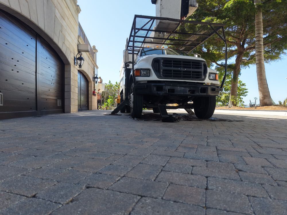 Stump Removal for Adam's Tree and Stump Care in Sarasota, FL