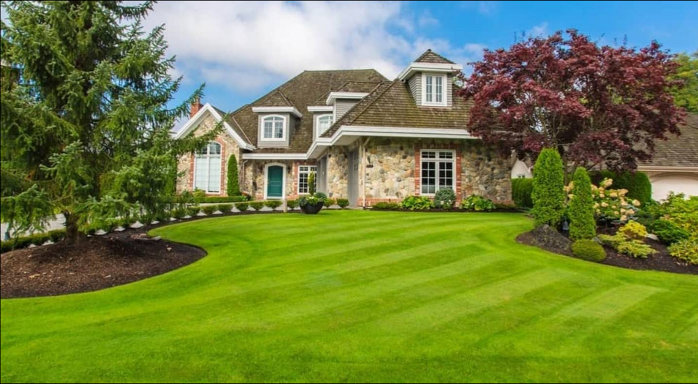 All Photos for Perfect Cut Lawn & Tree Care in Citrus Springs, FL