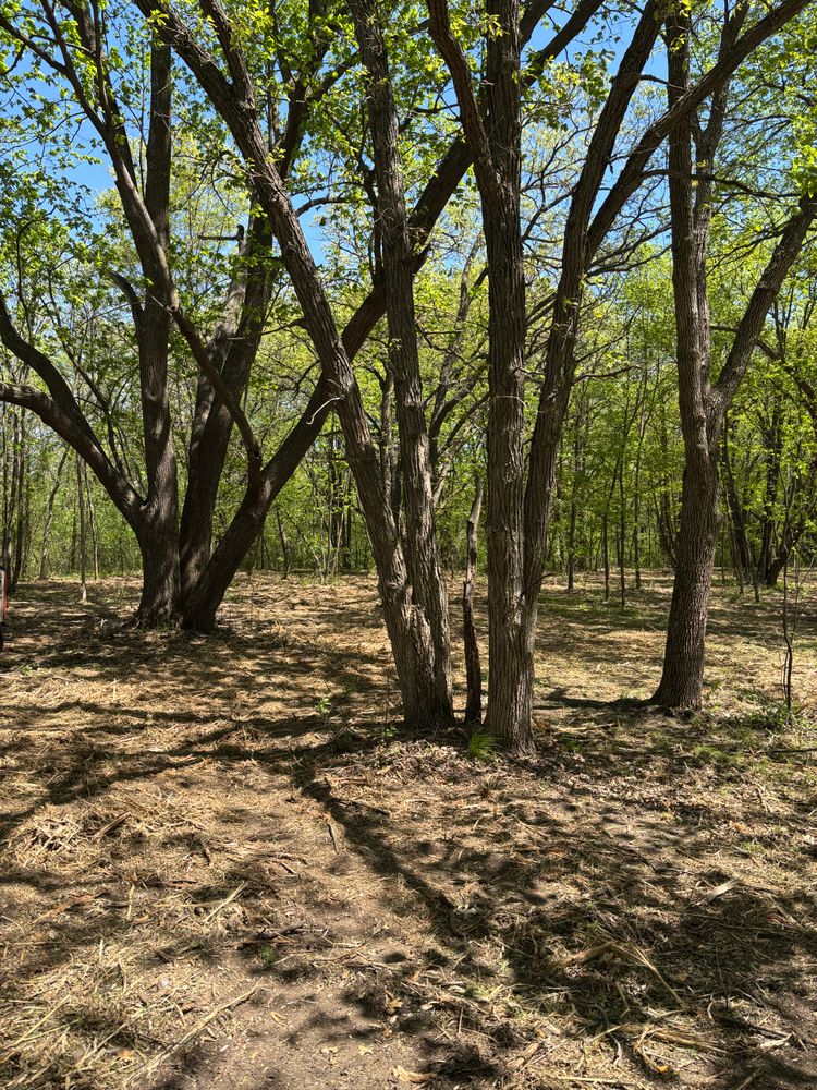 All Photos for Root Land Management in Watkins, MN
