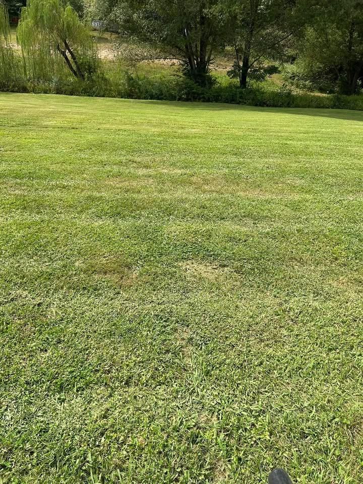 All Photos for Jeremiah's Lawncare in Gatlinburg, TN