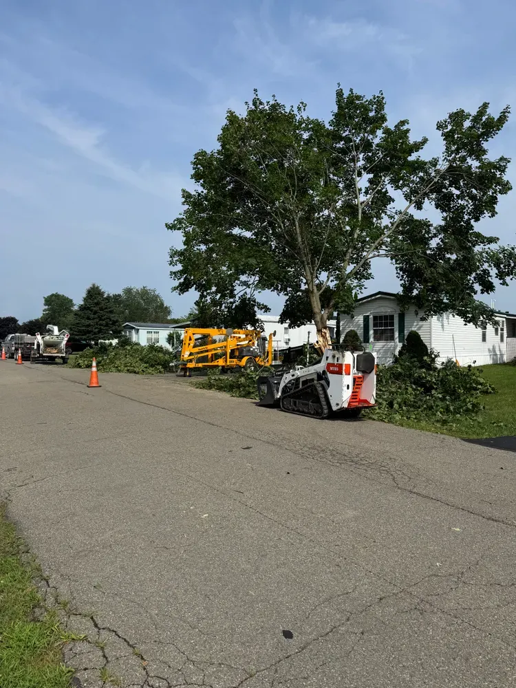 All Photos for Licensed to Cut Tree Service in Athens, PA