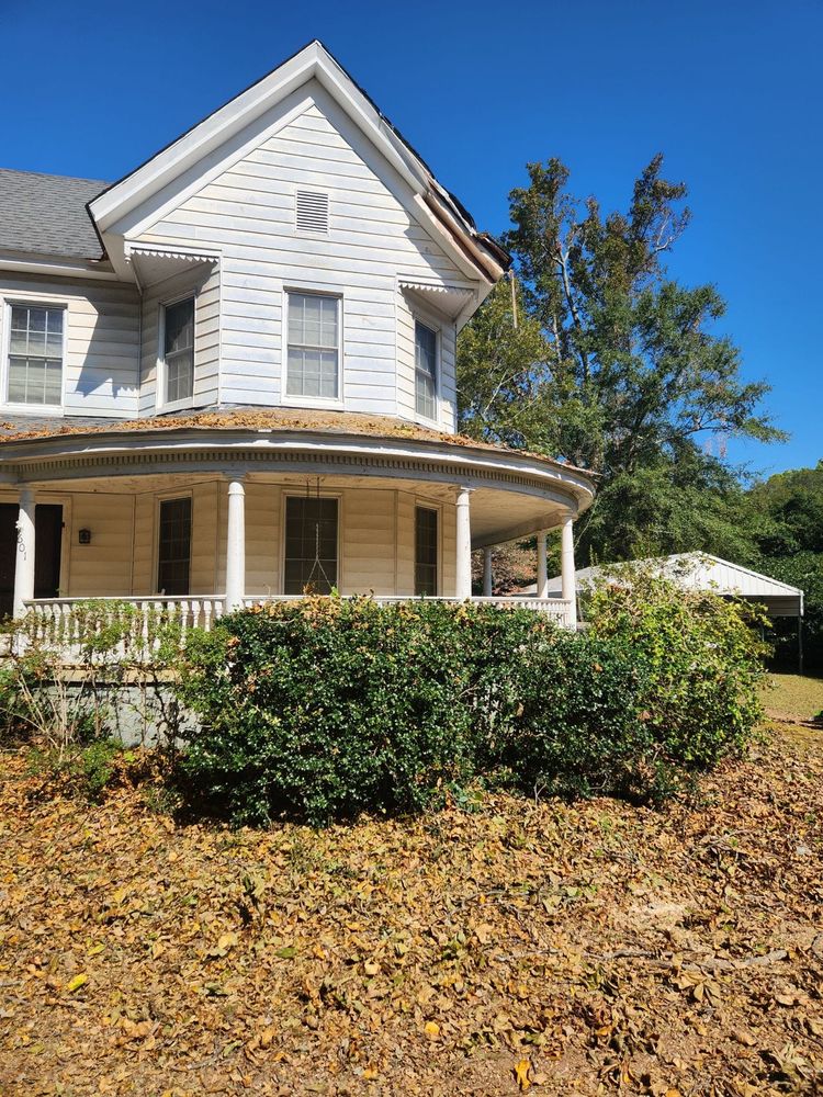 Tree Removal for Stumpbusters Tree Service in Louisa County, VA