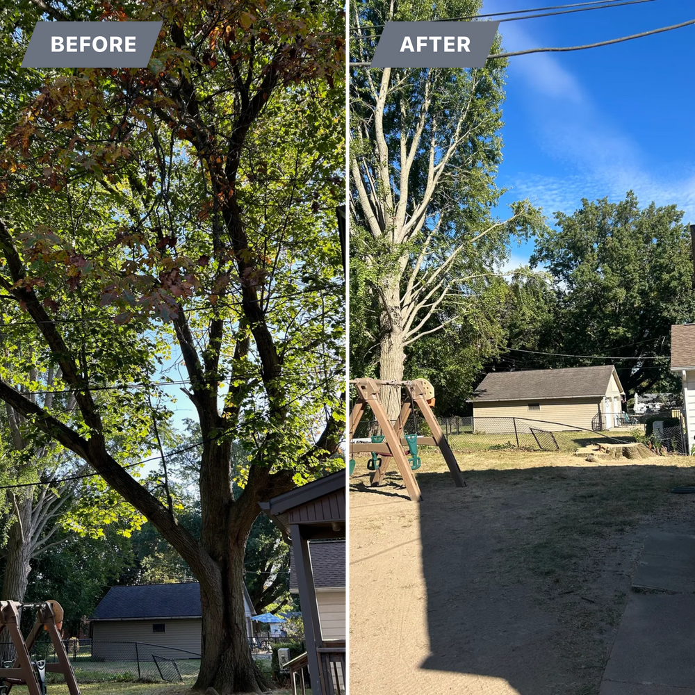 All Photos for Fransen's Tree Service  in Freeport, IL