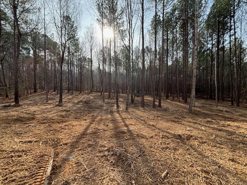 All Photos for Carolina Construction Services in Woodleaf, NC