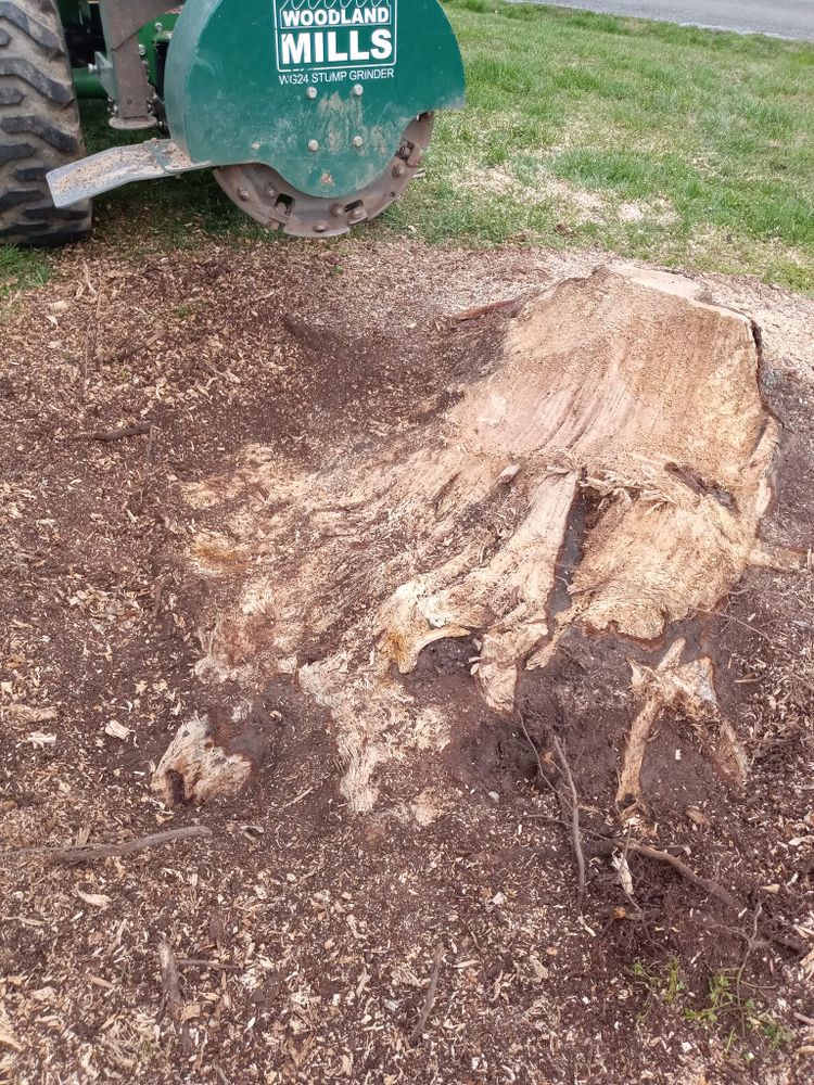 Lawn Care for KWL Lawn Care in Etowah, TN