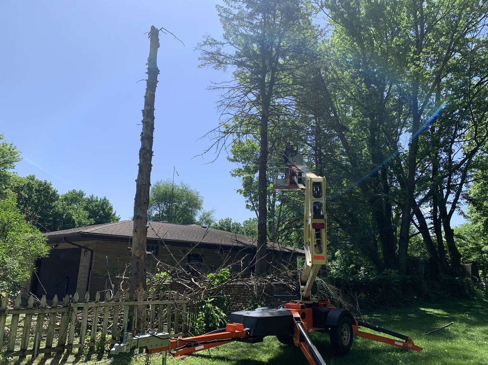 Treework for Nate's Lawn Services in Braidwood, IL