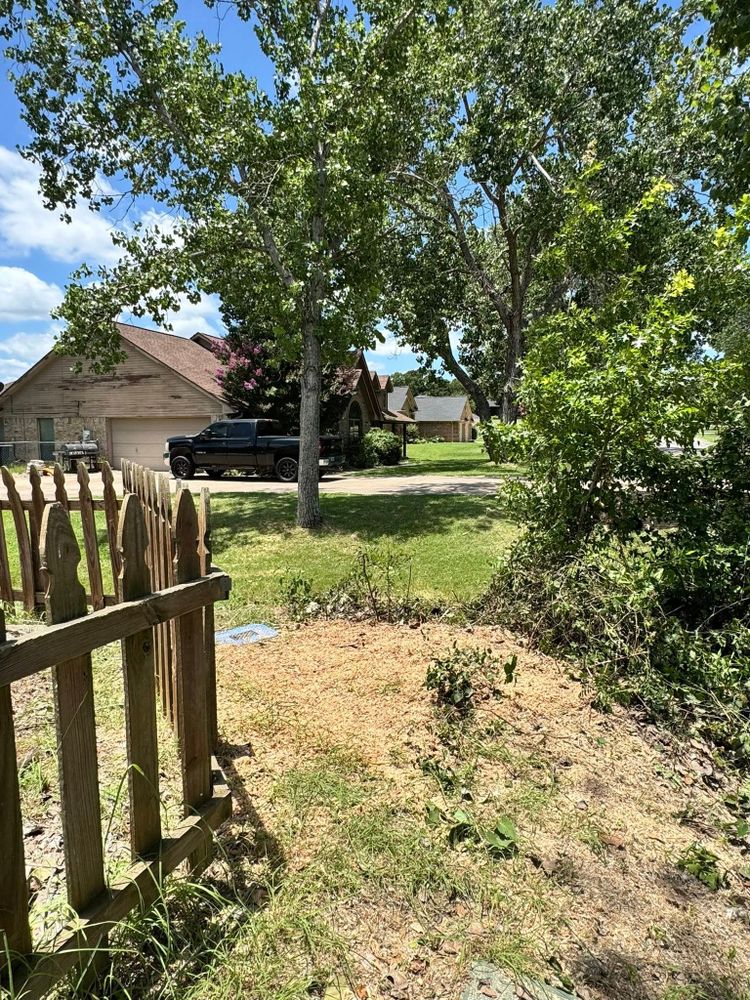 All Photos for Year Round Trees & Concrete Inc. in Fort Worth, TX