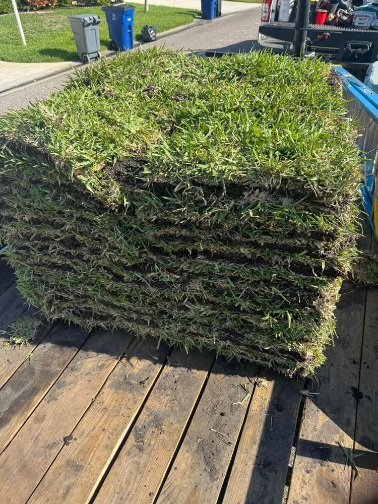 Transform your lawn instantly with our sodding service. We deliver lush, healthy grass for immediate results, enhancing curb appeal and providing a beautiful, ready-to-enjoy outdoor space for your home. for BH Lawn and Landscape in Fort Myers, FL