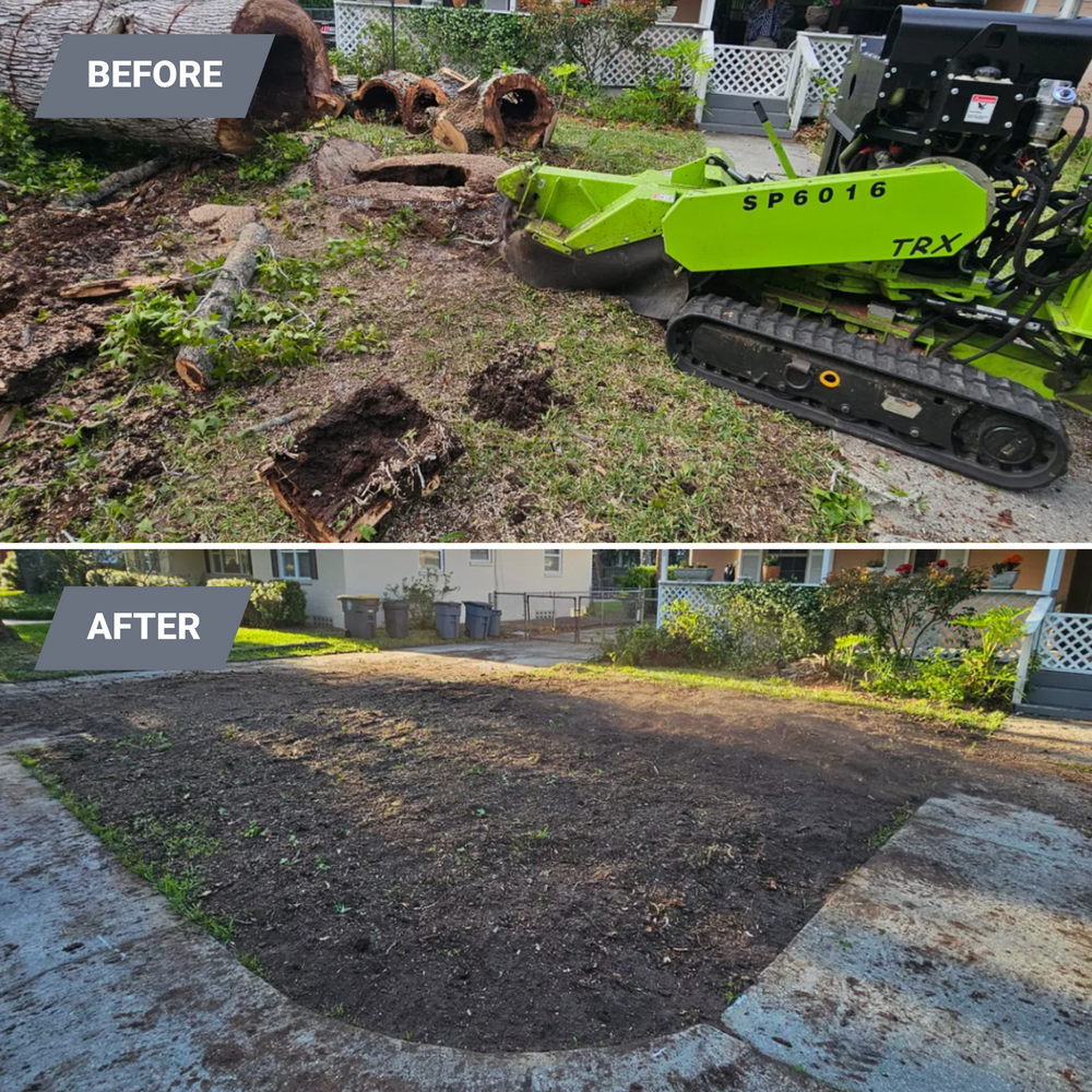 Stump Grinding for Stumps done right LLC in Middleburg, FL