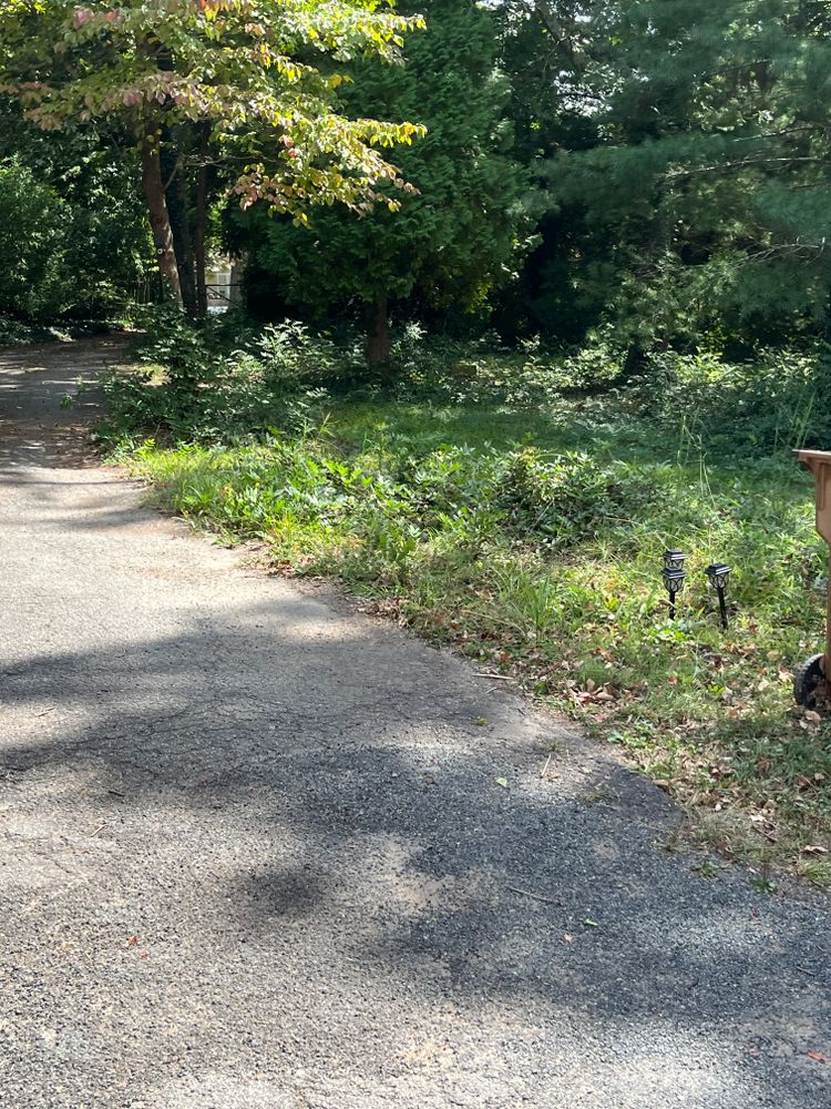 All Photos for Dream Cuts Landscaping and Lawn Care LLC in Gastonia, NC