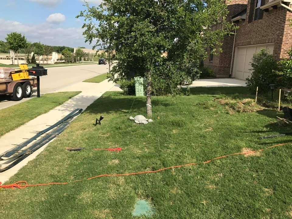 Lawn Care for Tree Valley Landscaping in Dallas, TX
