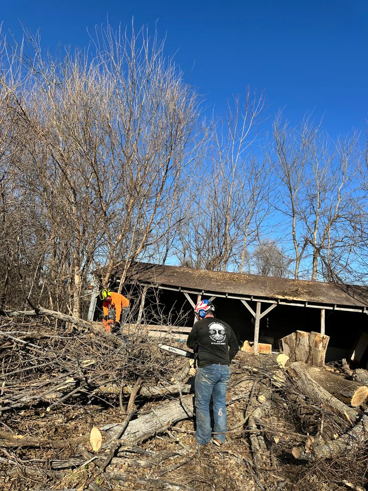 All Photos for Cross Family Tree Service in Kearney, MO