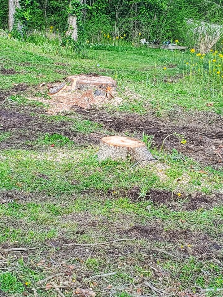 We offer professional stump removal services to fully eliminate unsightly stumps from your property, ensuring a smooth and safe landscape for you to enjoy without any remaining tree remnants. for Puckett's Tree Service in Decatur County, TN