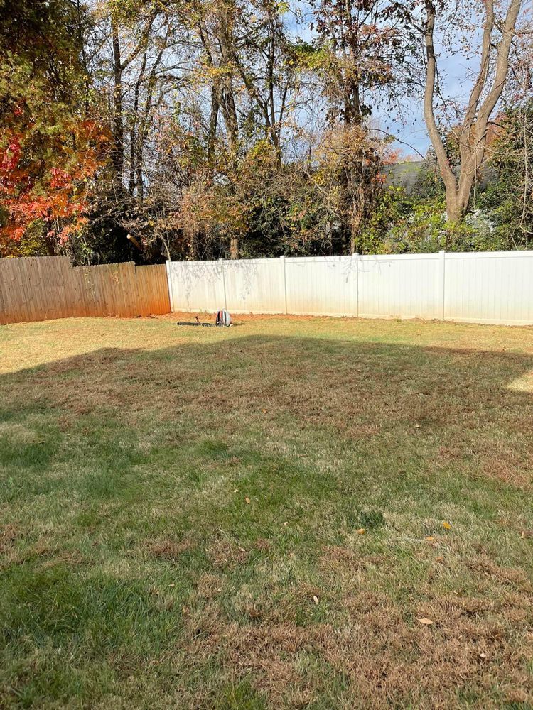 All Photos for Stem Tree Service in Belmont, NC
