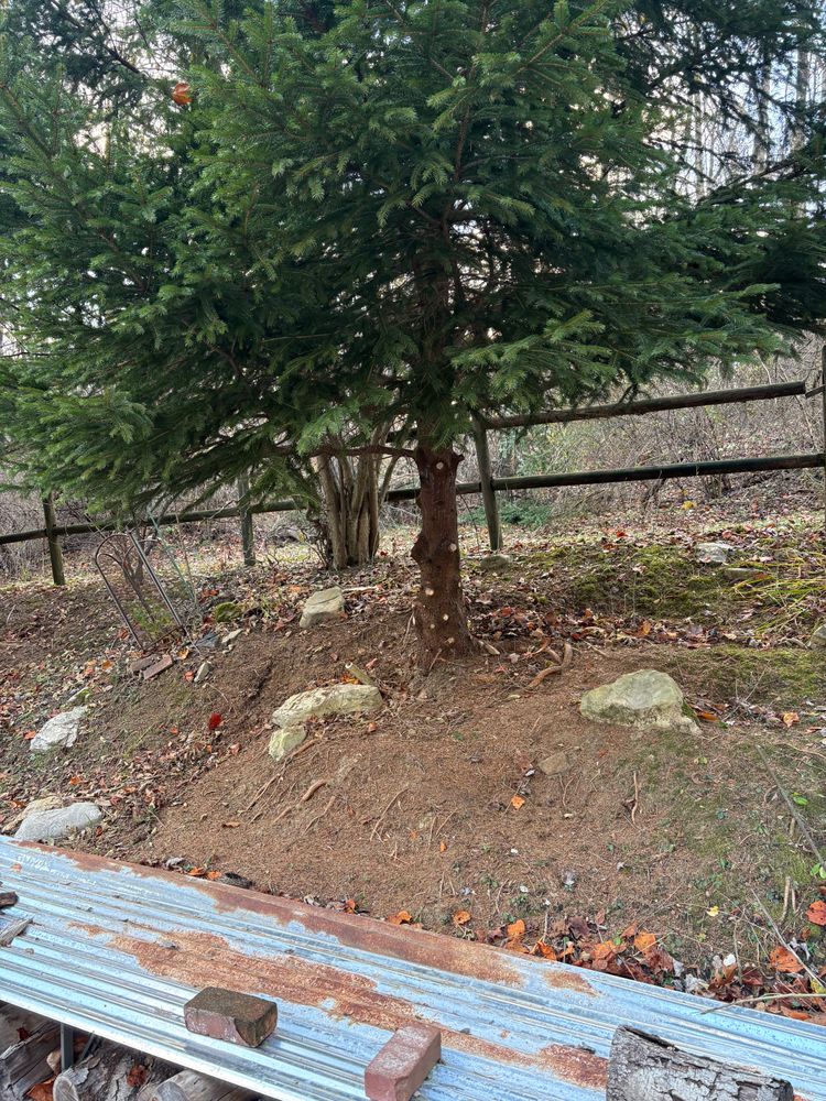 All Photos for Cam Yardz in Washington, PA