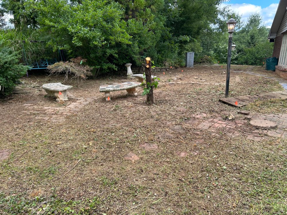All Photos for Gatrell Landscape & Tree Removal in Bluff City, TN