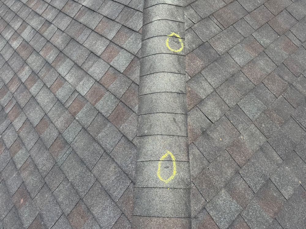  for FNS Exterior Consulting LLC in Cumming, GA