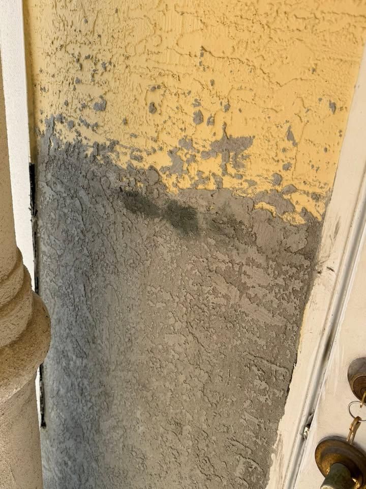 All Photos for Escorpio Painting in Tampa, FL