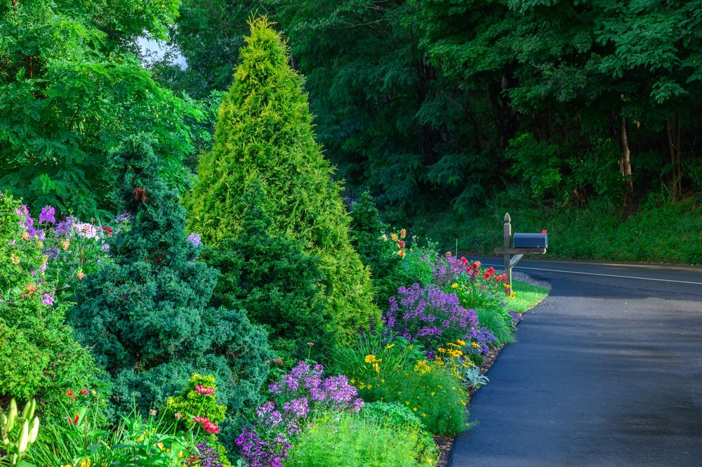 All Photos for Sustainable Lawn and Landscape in Banner Elk, NC