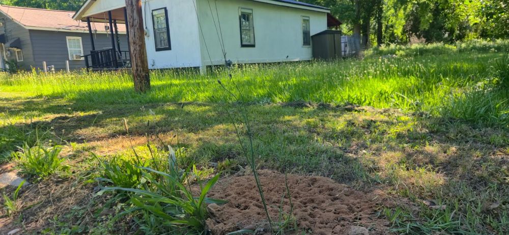 All Photos for Fresh Cut Yard & Lawn Care LLC in Forsyth, GA