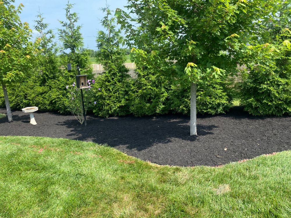 All Photos for Stafford.Works in Brownsburg, IN