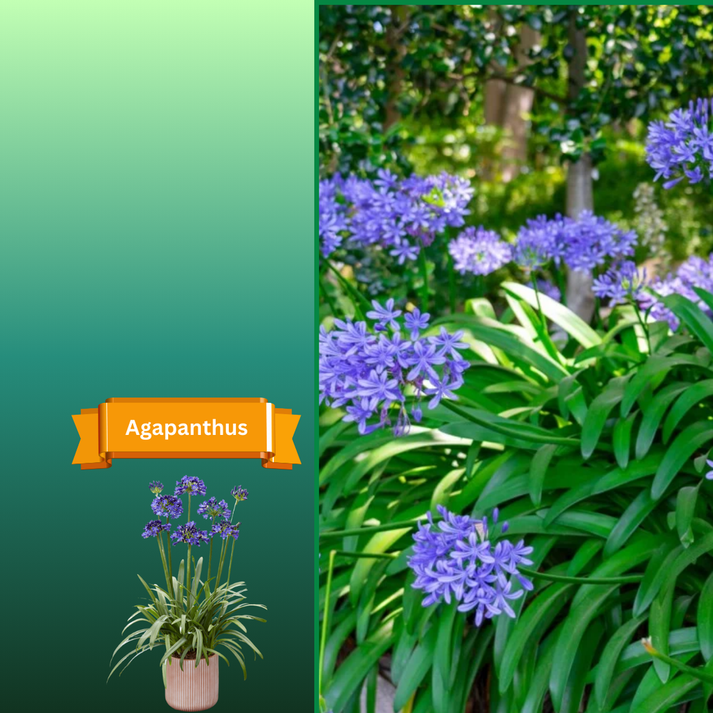 All Photos for R.B. & Company in Belleview, FL